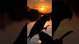 Dil Pehlan Jeha Ni Riha || Satinder Sartaaj #satindersartaj