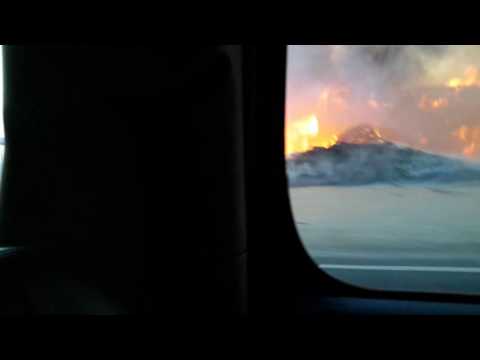 Fire at a farm, cow on fire try to spot it