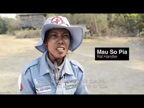 Goldman Sachs HeroRAT Adoption