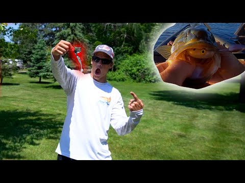 Insane day of BUZZ BAIT Fishing (CRAZY TOPWATER STRIKES)