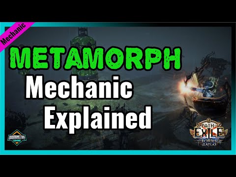 [Path of Exile] Metamorph League Mechanic Explained!