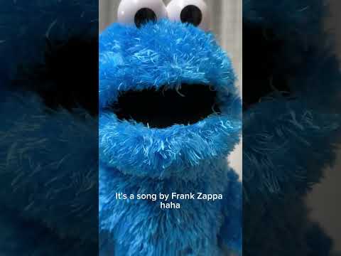 #FrankZappa #WhyDoesItHurtWhenIPee