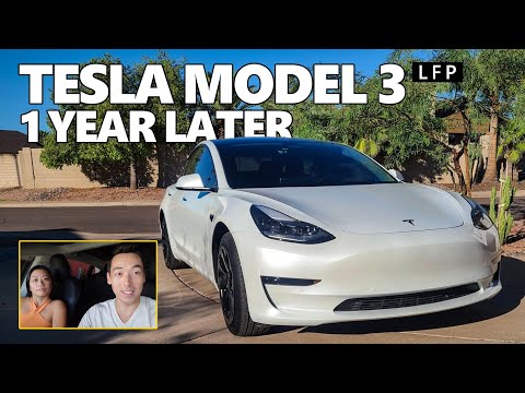 Model 3 LFP 1 Year Review
