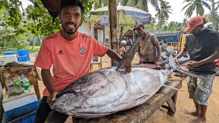 Amazing!! 119 Kg Big Tuna Fish Market And Cutting Skills In Sri Lankan Village