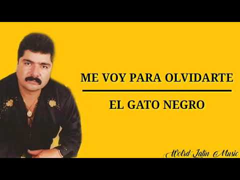 Me Voy Para Olvidarte - El Gato Negro (Letra)