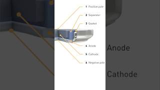 Panasonic - Do you want to look inside a Lithium coin (CR series) battery