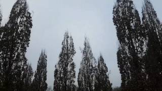 Poetic lover -Espoir × Stedy Dinw