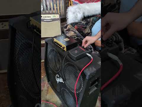 Mystic Effects Co Live Laugh Fuzz in Vintage Roland Sustainer Case *NEW* (2026 - Black) image 9