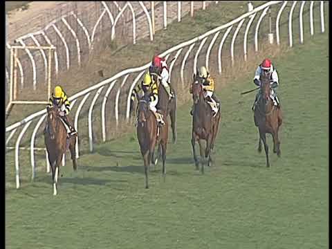 Galoppo 27/01/2018 - 1ª corsa