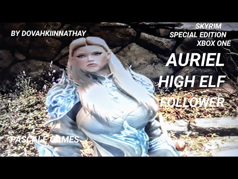 SKYRIM AURIEL HIGH ELF FOLLOWER