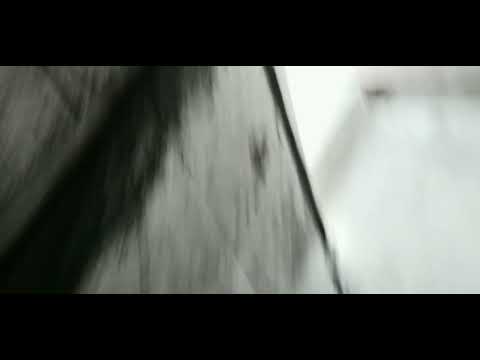 P.I.P mingau gato & P.I.P nikolass Juninho