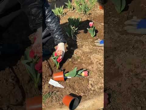 [SNS직원서포터즈] 효령면 장군2리 마을만들기 활동