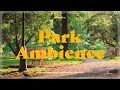 Tranquil Park White Noise for Peaceful Ambience | White Noise, Nature Sounds, 공원 백색소음, 자연의 소리