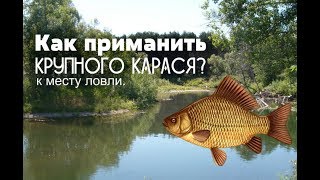 На что ловить крупного карася среди мелкого