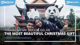 Sambut Natal 2021, Taman Safari Bogor Gelar