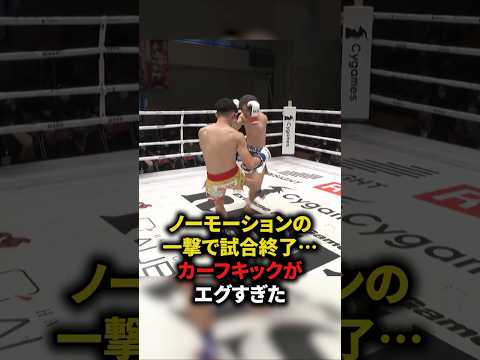 ノーモーションの一撃で試合終了⋯カーフキックがエグすぎた　#格闘技