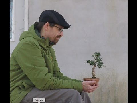 How to Winterize Your Bonsai 2016