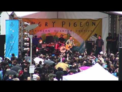 Hungry Pigeon 2010