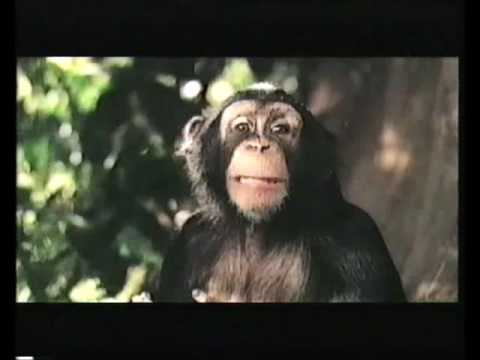 Disney's George of the jungle 2 Trailer 2003 (VHS Capture)