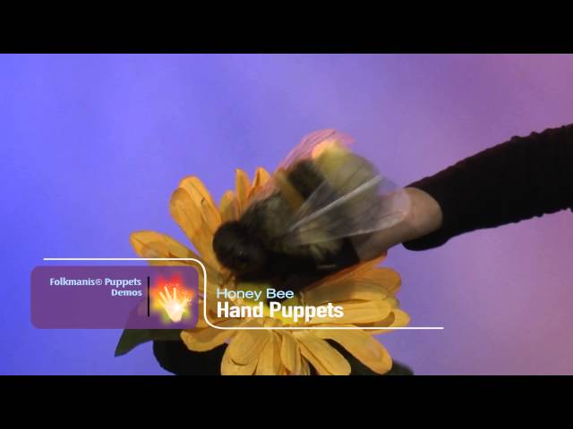 Video Teaser für Folkmanis® Honey Bee Puppet Demo