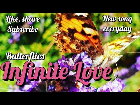 Infinite Love - Butterfly video 🦋❤ New original song everyday to raise your love vibrations 432hz