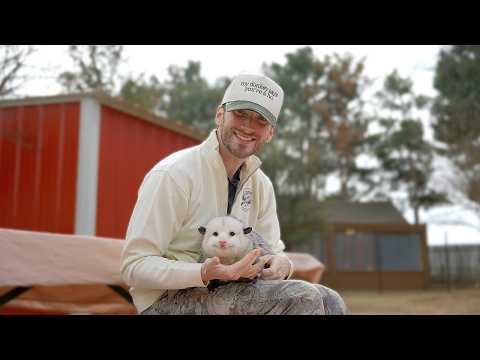 Cussing Out Animals at a Wildlife Rehab Center | Matt Mathews