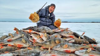 Килограммовые окуни сошли с ума! Жор и древняя удочка! Рыбалка у охотника часть 2