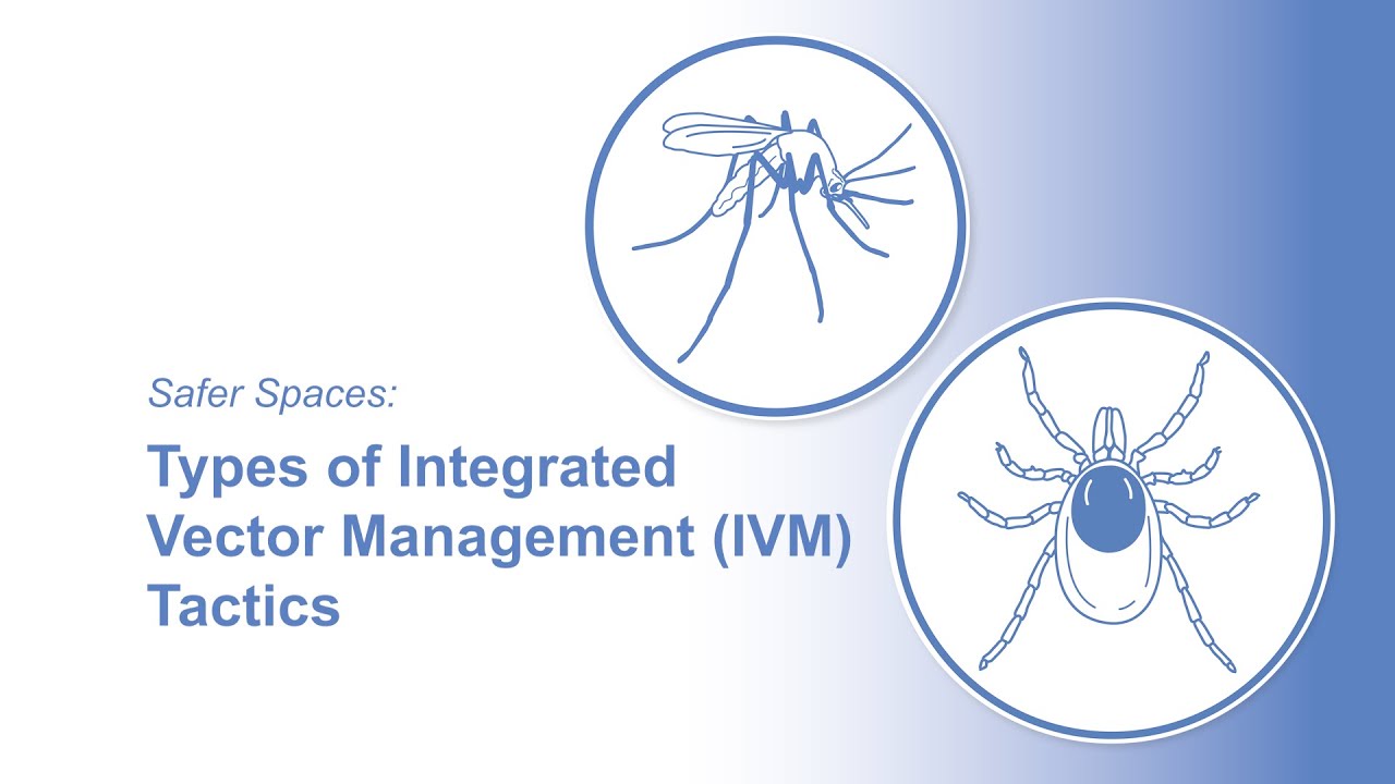 Safer Spaces: Types of Integrated Vector Management (IVM) Tactics