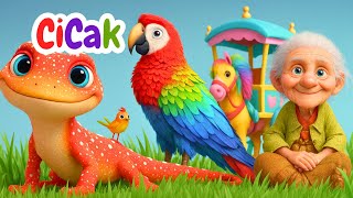 Download lagu Kumpulan Lagu Anak Indonesia Populer | Cicak🦎 - Kring Kring ada Sepeda - Sayang Ibu | Balita TK PAUD mp3