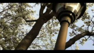 Bryn - Vampire Weekend