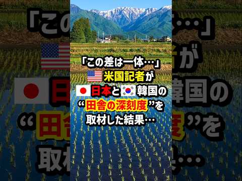 ｢この差は一体…｣🇺🇸米国記者が🇯🇵日本と🇰🇷韓国の“田舎の深刻度”を取材した結果…　#海外の反応