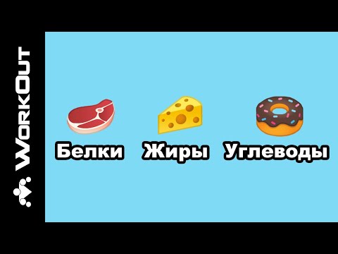 Из чего состоит еда? Функции пищи (БЕЛКИ, ЖИРЫ, УГЛЕВОДЫ) | SOTKA — День 16