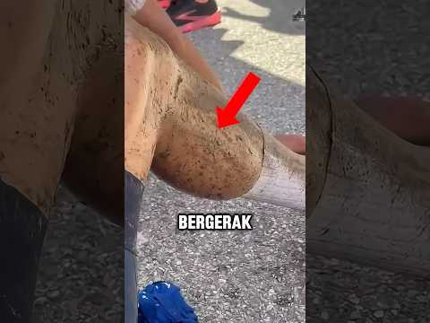 Leg Cramps After Cycling for 9 Hours Nonstop 😳😬 #shortvideo #trending #viralvideo