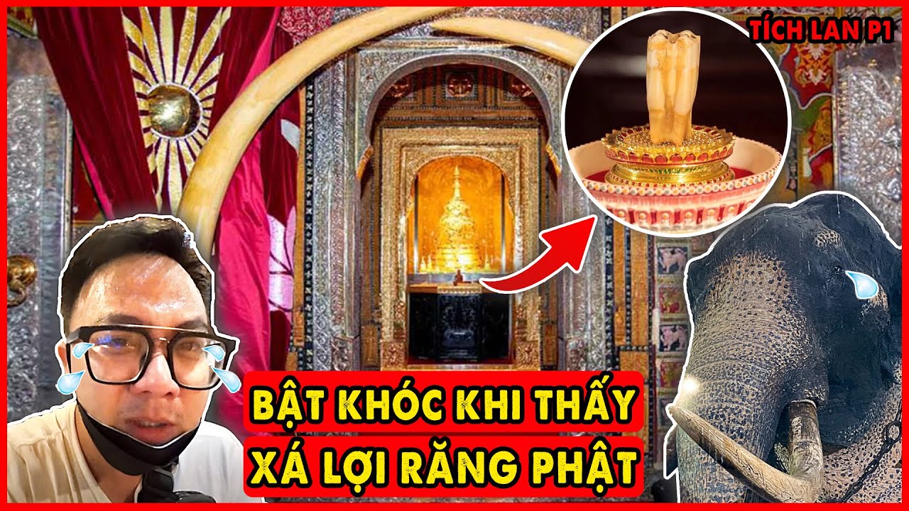Quang Chau Khóc Mếu Máo khi Đảnh Lễ Xá Lợi Răng Phật bên trái tại Tích Lan | Phật Đảo Sri Lanka P1