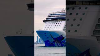 Norwegian Escape 🛳️ #travel #travelvlog #shorts #cruise #vacation #shortvideo #shortsvideo #fun #yt
