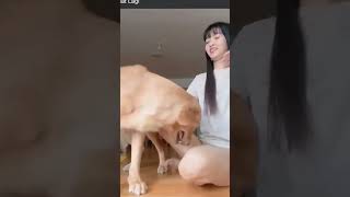 Download lagu wanita cantik sama anjing mp3