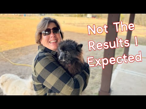 Unveiling the Surprising DNA Test Results of Our Beloved Dog!