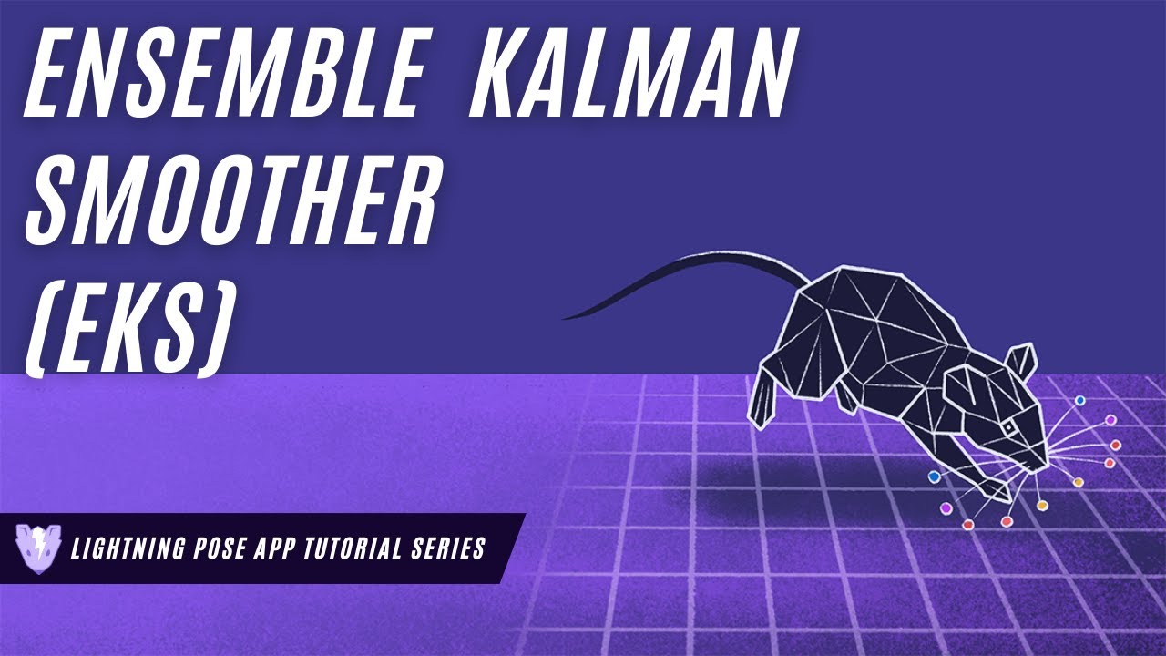 Lightning Pose App - Ensemble Kalman Smoother (EKS)