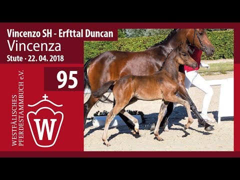 095 Vincenza SF v. Vincenzo SH - Erfttal Duncan