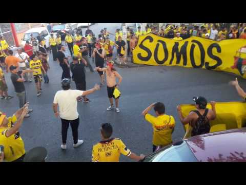 "Caminata De La Sur Oscura Pal ModeloO" Barra: Sur Oscura • Club: Barcelona Sporting Club • País: Ecuador