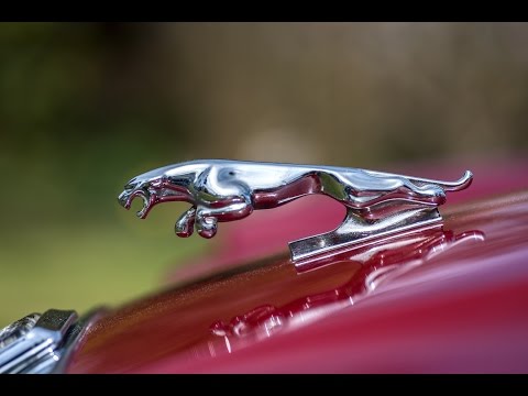 1975 Jaguar XJ6 Series 2 LWB (VIDEO)  - Waimak Classic Cars - New Zealand
