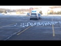 Walmart Sea Gulls