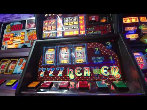 Jus finally rolls 7s Above @ 🌴  Amusements