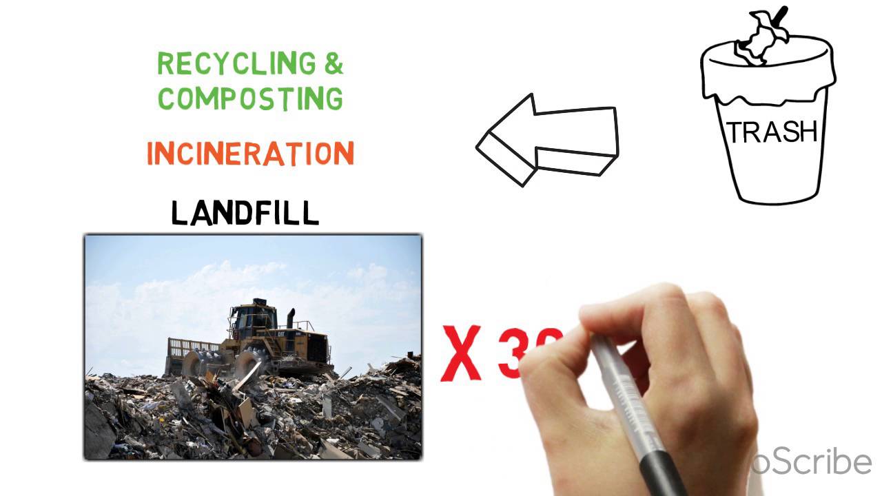 What do Environmental Engineers do?_UMBC_CBEE