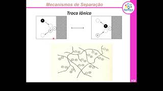 |AQI| Cromatografia Líquida HPLC