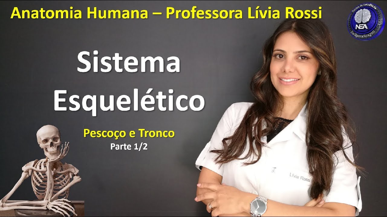 Anatomia Humana - Sistema Esquelético - Ossos do pescoço e tronco