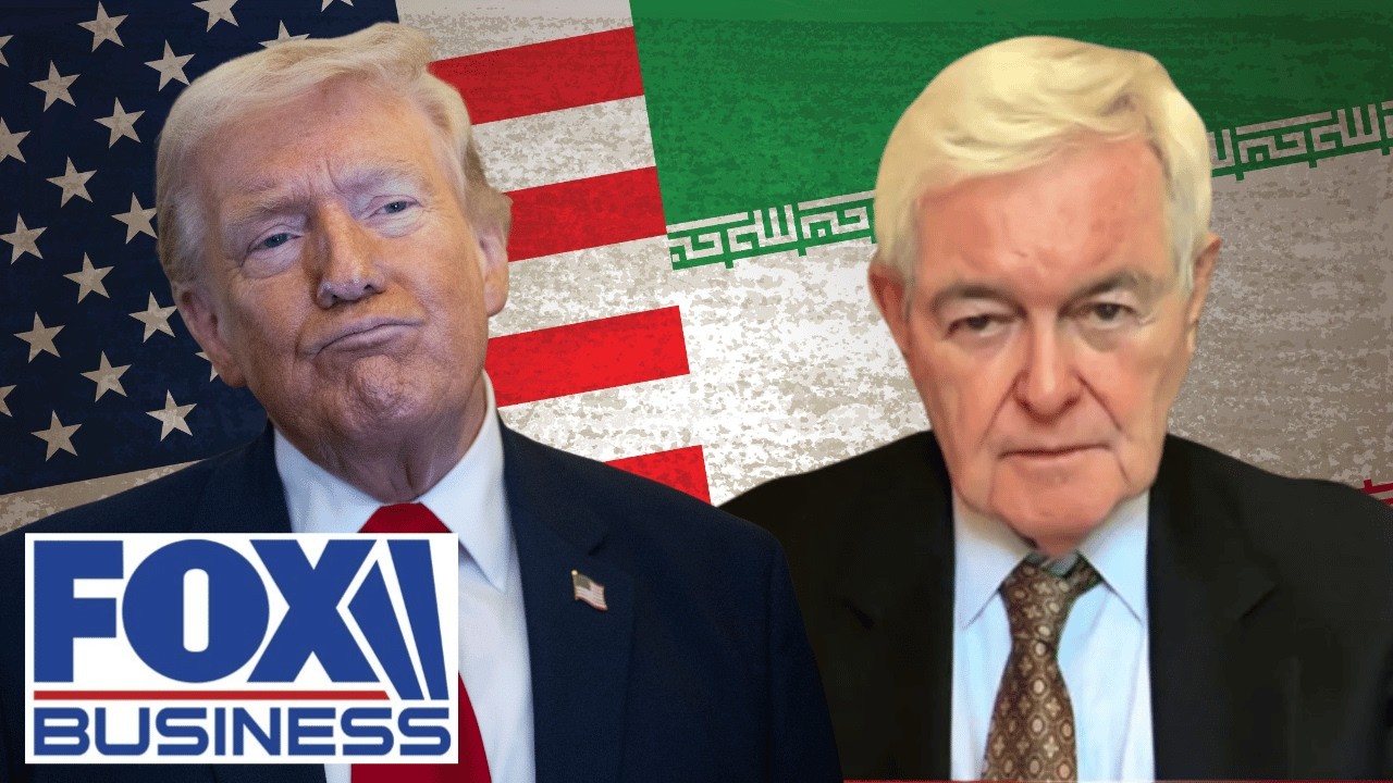 Gingrich: Dems would rather LOSE these cities than concede that Trump is CORRECT on this