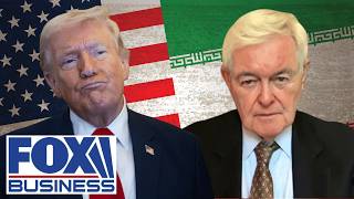 Gingrich: Dems would rather LOSE these cities than concede that Trump is CORRECT on this
