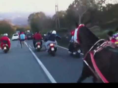 "CORSE CLANDESTINE" SANTO CANONICO