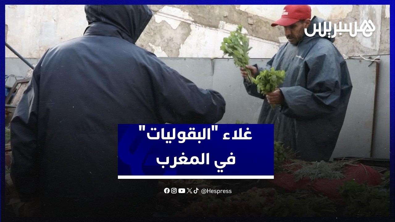 ارتفاع صاروخي في أسعار البقوليات الخضراء.. “المعدنوس” و”الكرافس” يقفزان إلى 20 درهما thumbnail